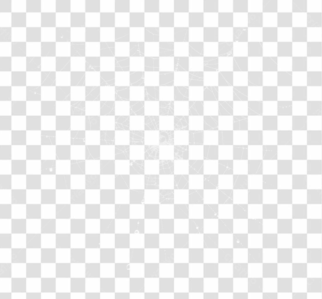 Elemento PNG teia de aranha com fundo transparente