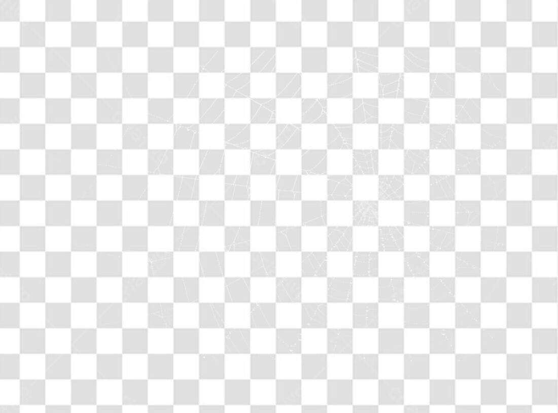 Elemento PNG Halloween Teia de Aranha com fundo transparente
