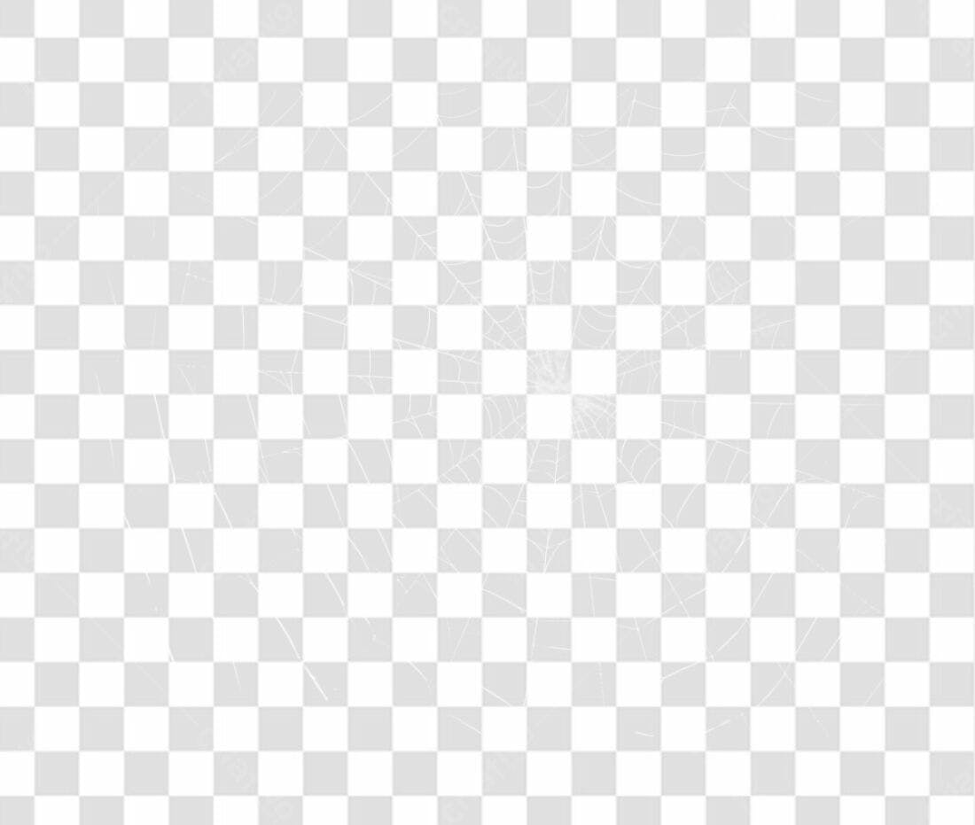 PNG Teia de Aranha para Halloween com fundo transparente