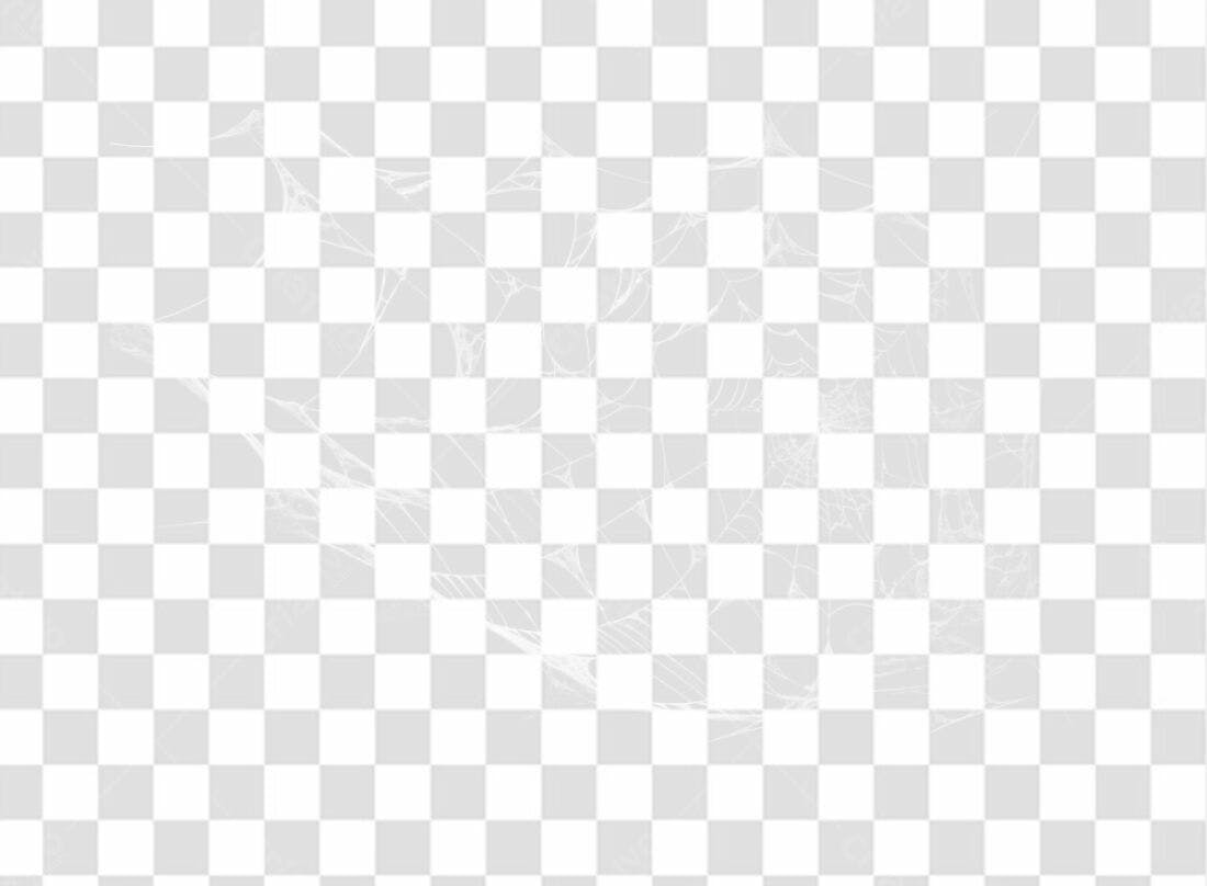 Elemento PNG teia de aranha com fundo transparente