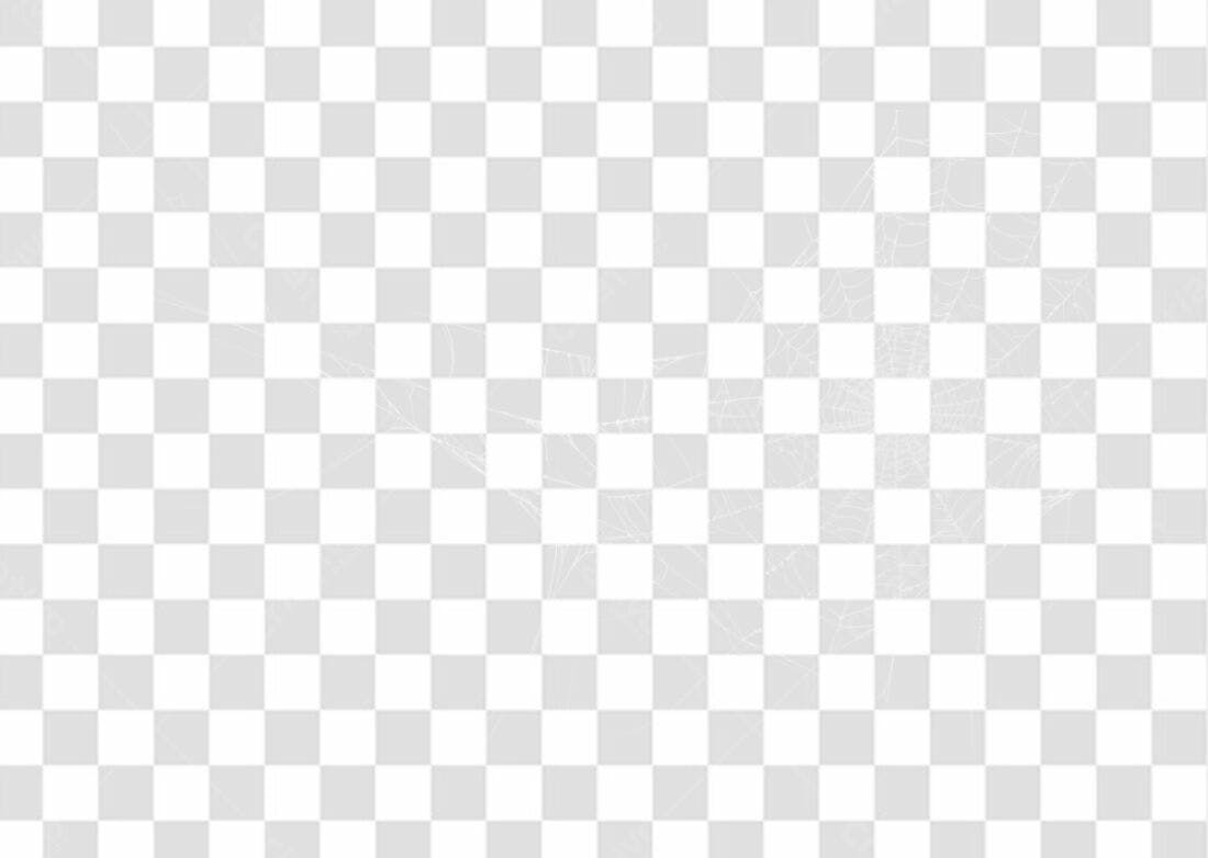 PNG Elemento teia de aranha para sobreposição com fundo transparente