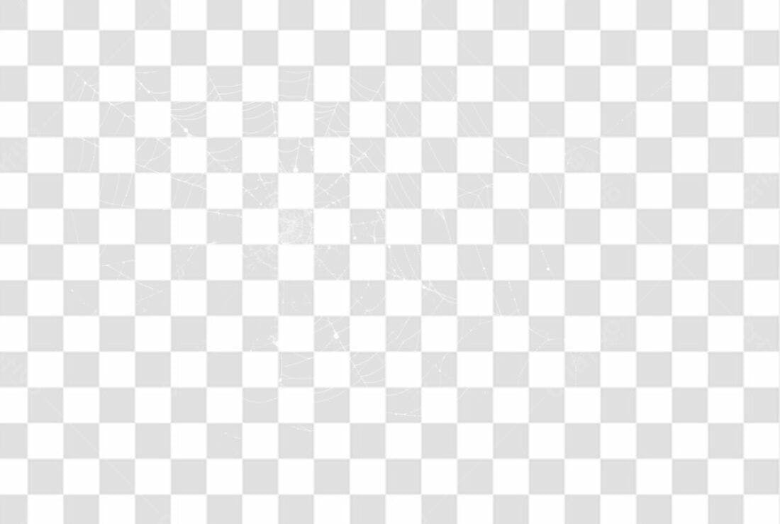PNG Elemento Aranha Halloween com fundo transparente