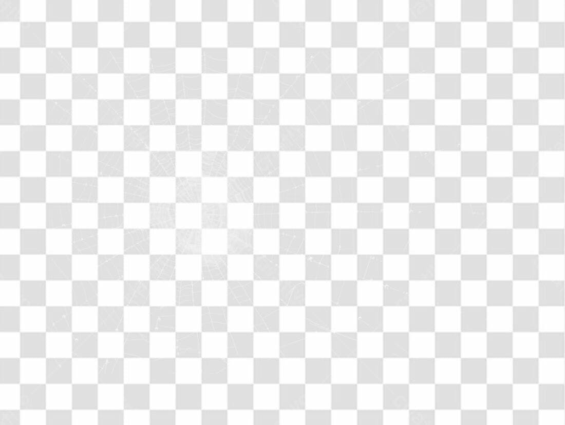 PNG Sobreposição de teia de aranha com fundo transparente