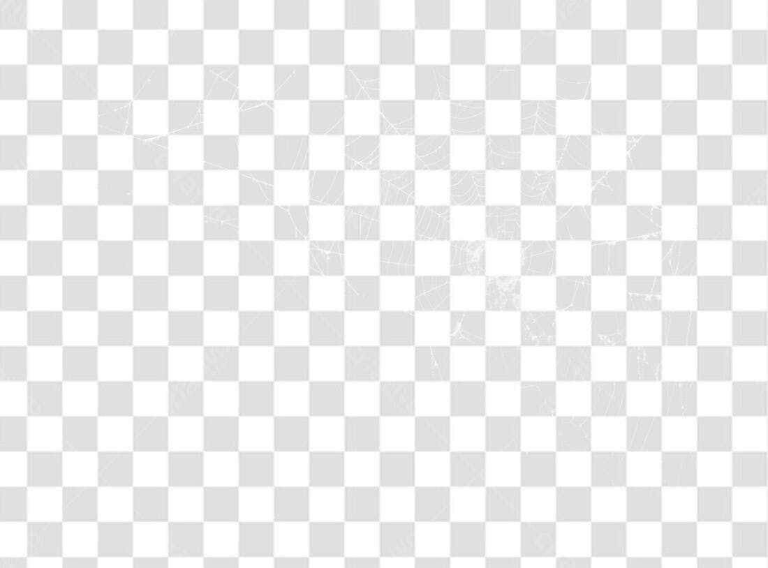 PNG Elemento Aranha Halloween com fundo transparente