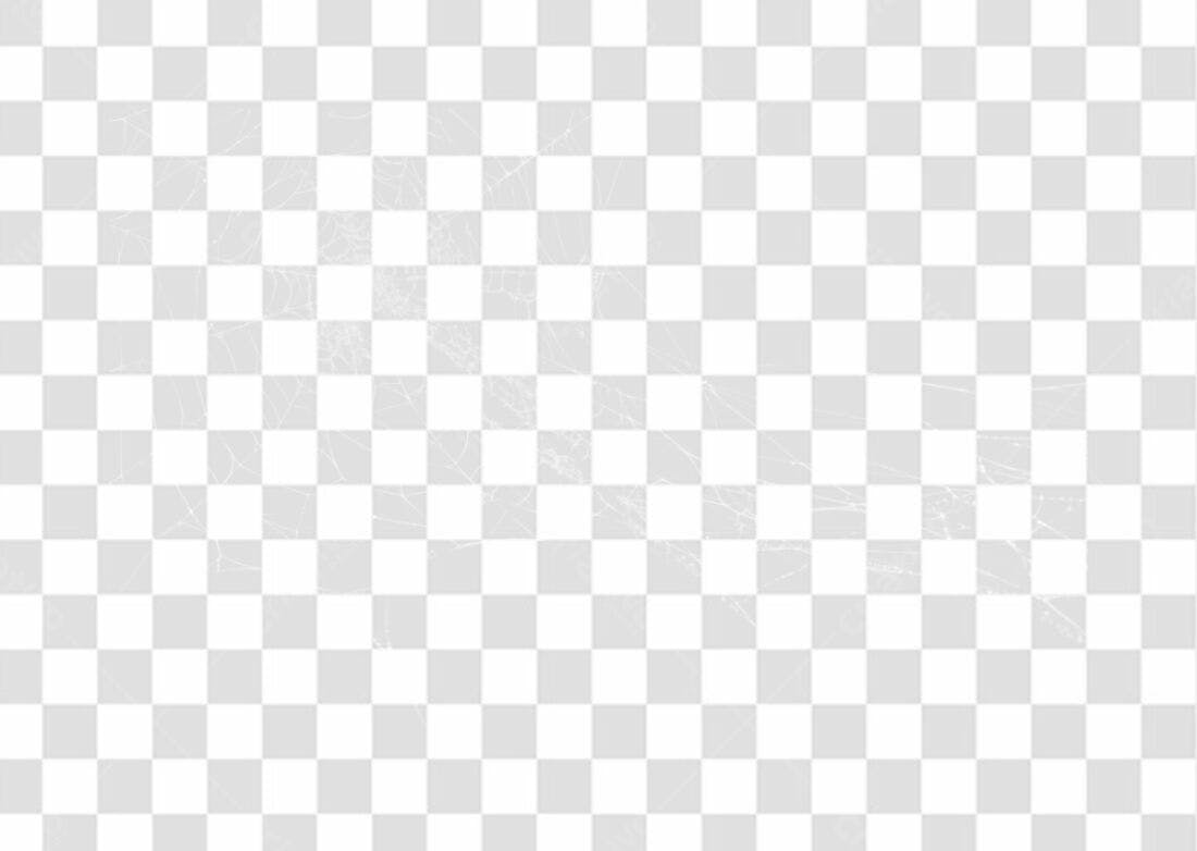 Overlay PNG teia de aranha com fundo transparente