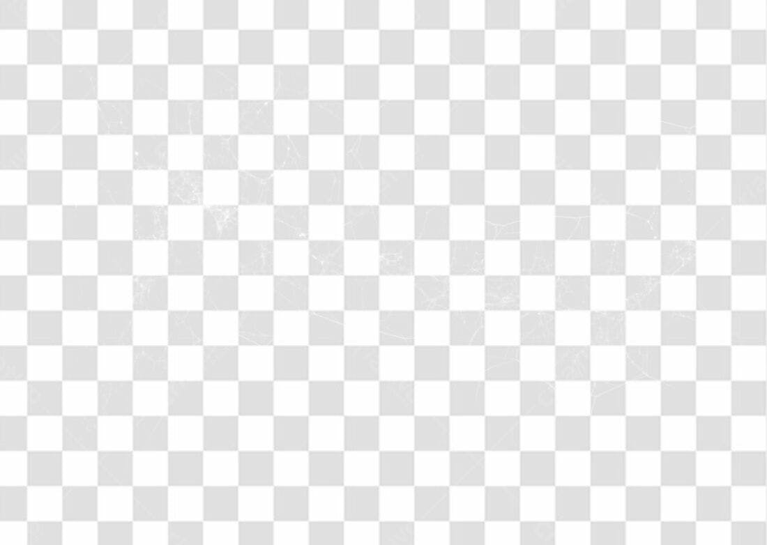 PNG Fundo Transparente Textura de teia de aranha