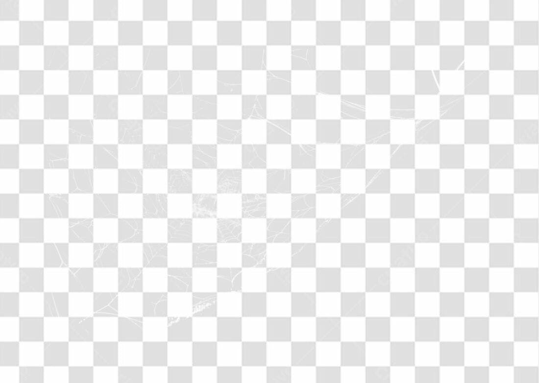 Overlay PNG teia de aranha com fundo transparente