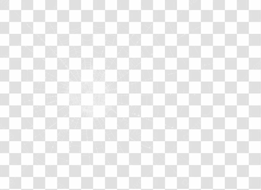 Overlay teia de aranha PNG com fundo transparente