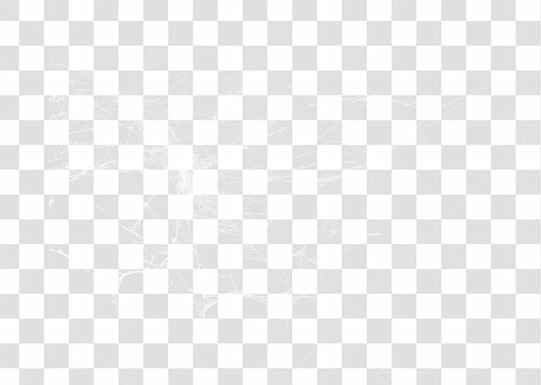 Overlay teia de aranha PNG com fundo transparente