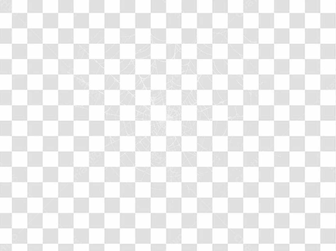 Elemento PNG para Halloween teia de aranha com fundo transparente