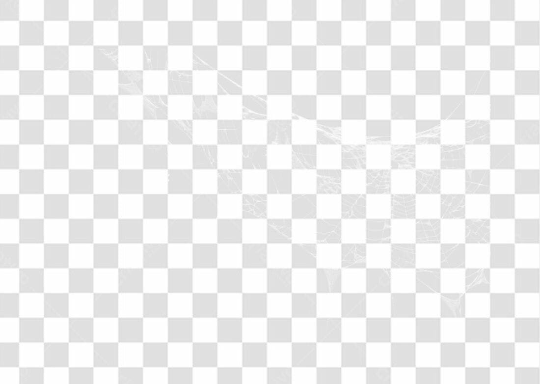 Elemento Web PNG com fundo transparente