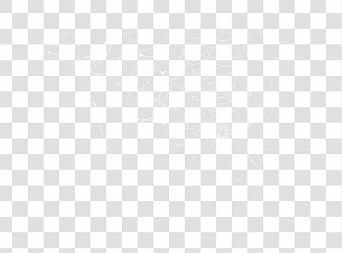 Overlay teia de aranha PNG com fundo transparente