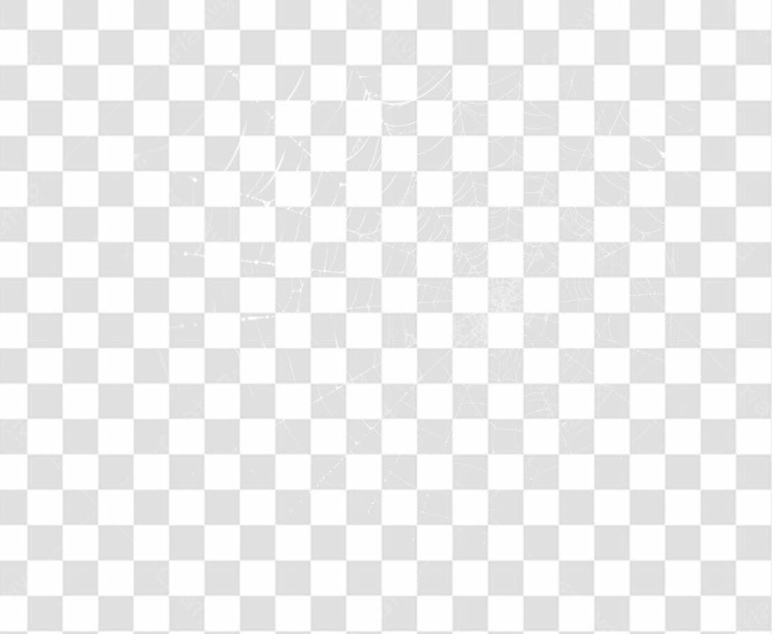Elemento PNG teia de aranha com fundo transparente