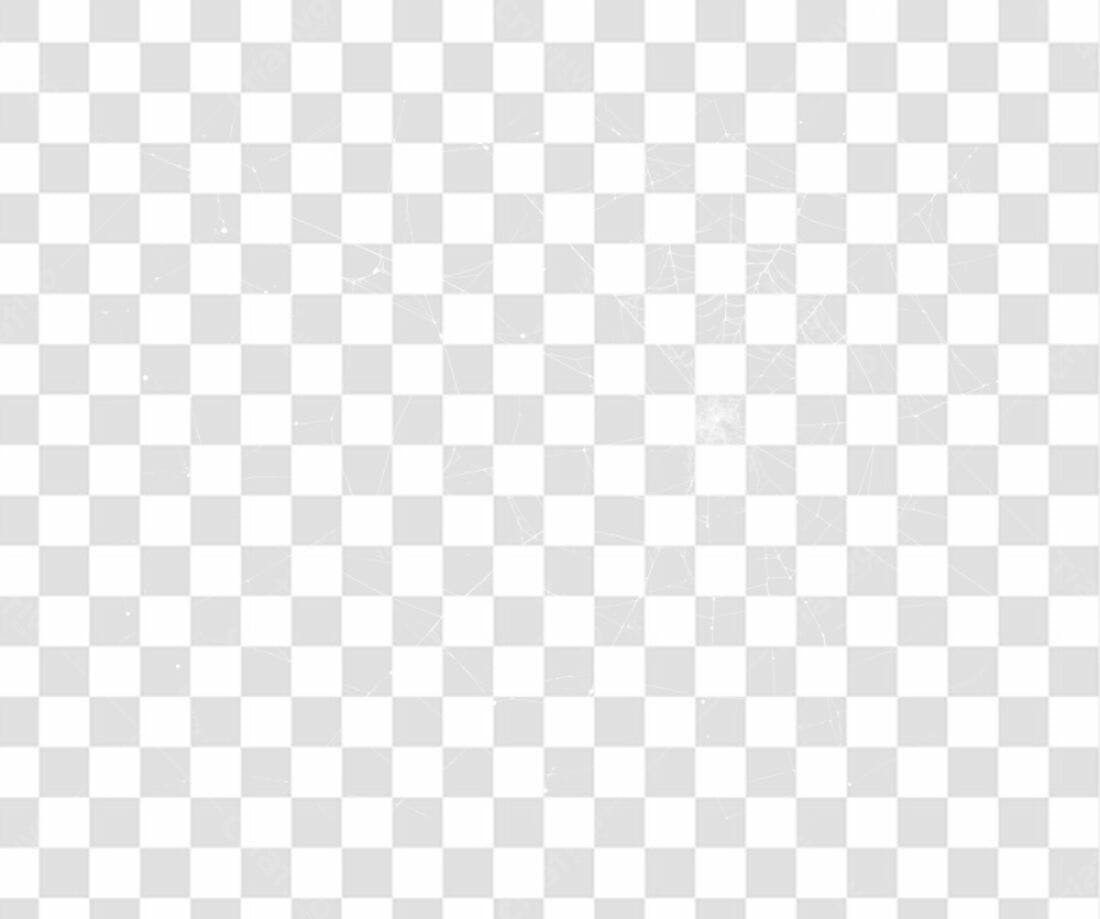 PNG Overlay Teia de aranha fundo transparente