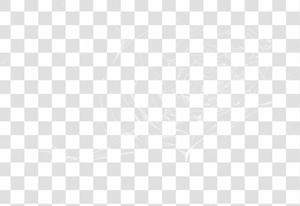 Spider Web Texture Png 8K High Resolution