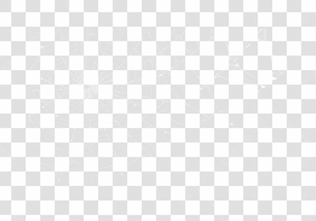 Elemento PNG Teia de Aranha com fundo transparente