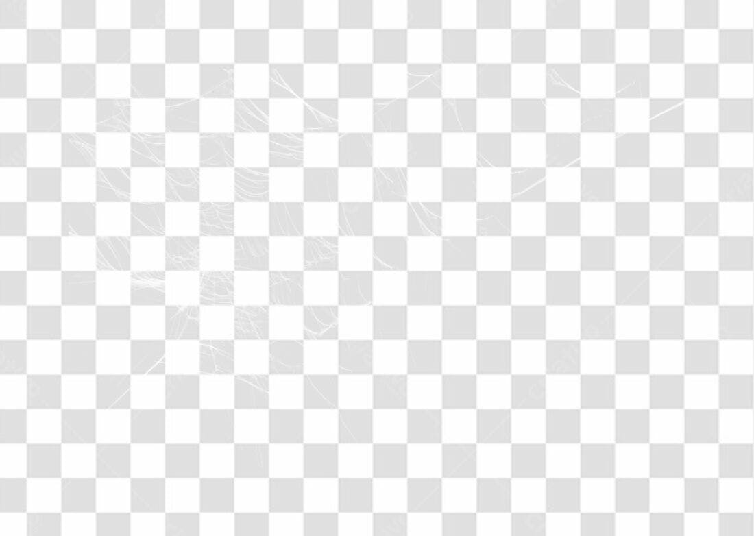 Overlay PNG com fundo transparente Teia de aranha