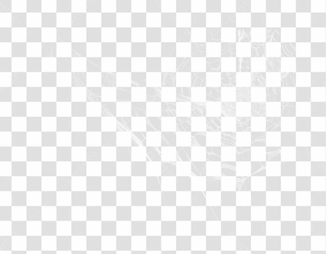 Elemento PNG teia de aranha fundo transparente