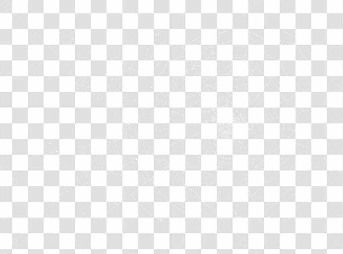 Overlay teia de aranha PNG com fundo transparente