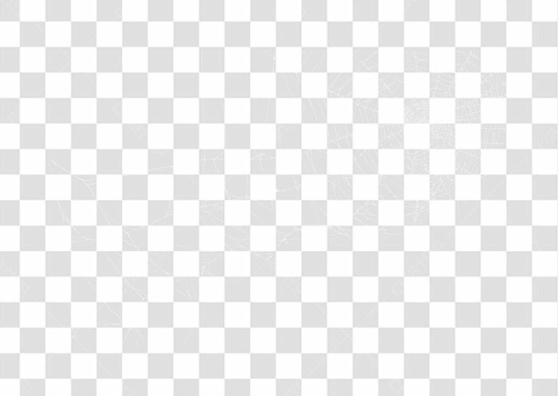 Elemento PNG teia de aranha fundo transparente