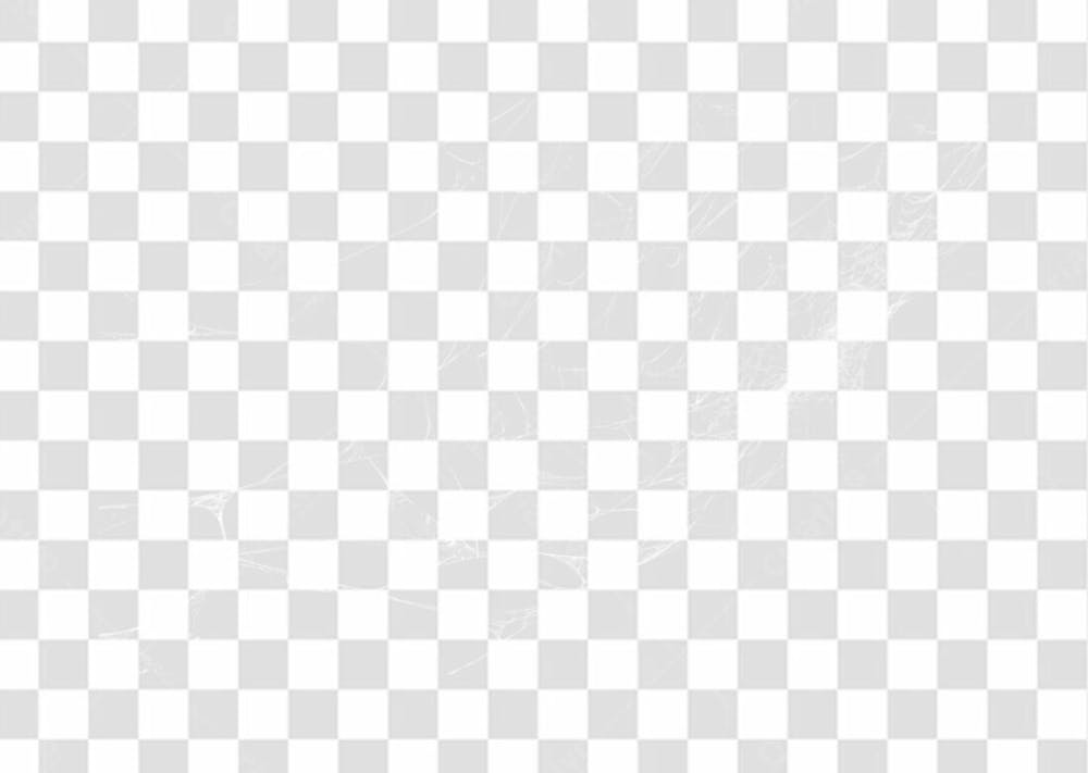 Spider Web Texture Png 8K High Resolution