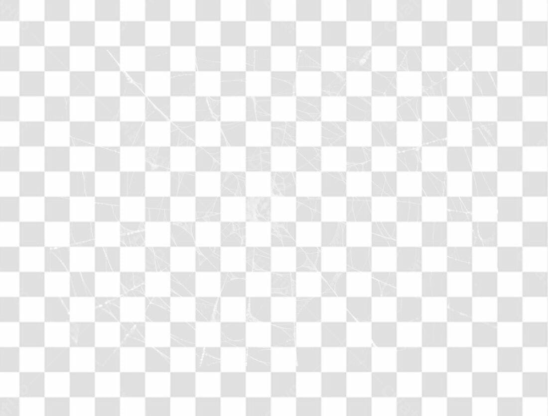Elemento PNG teia de aranha com fundo transparente