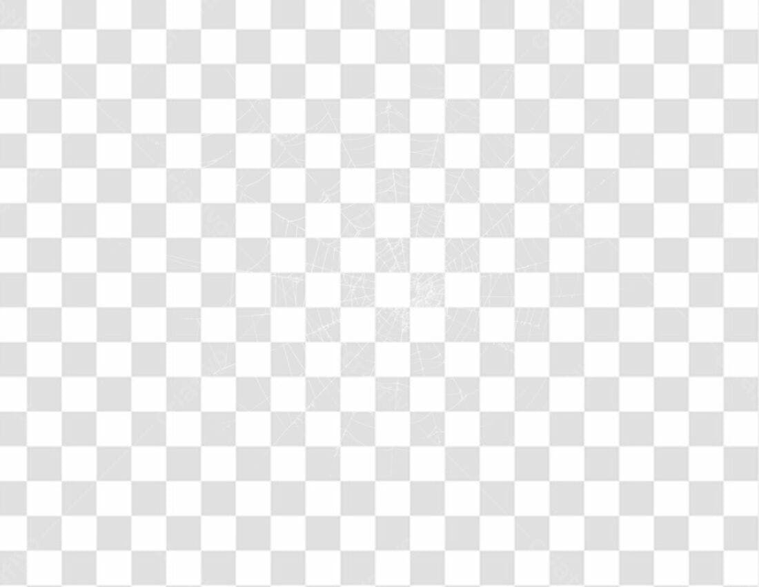 Elemento PNG para Halloween Teia de Aranha com fundo transparente