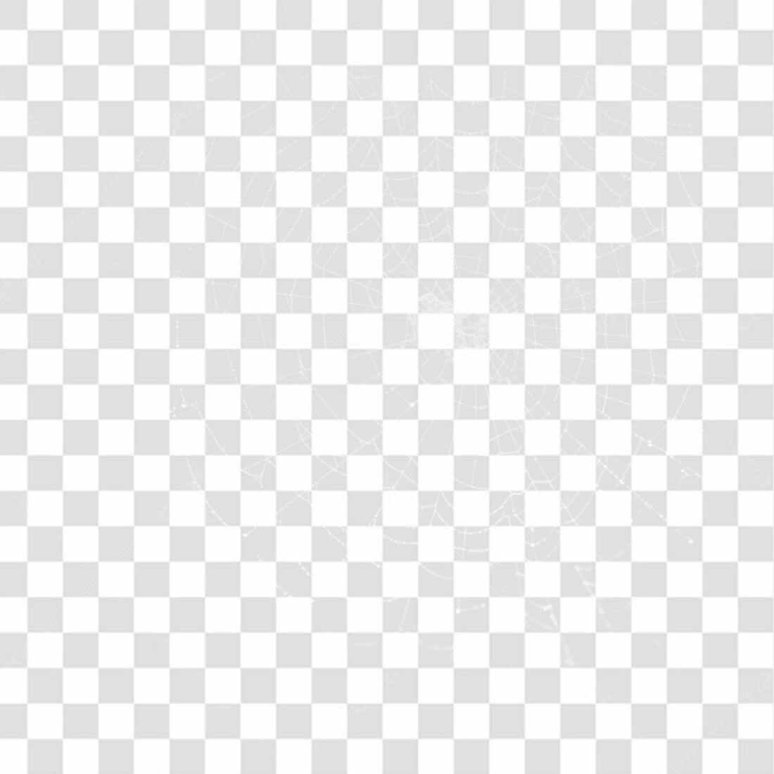 Elemento PNG para Halloween Teia de Aranha com fundo transparente