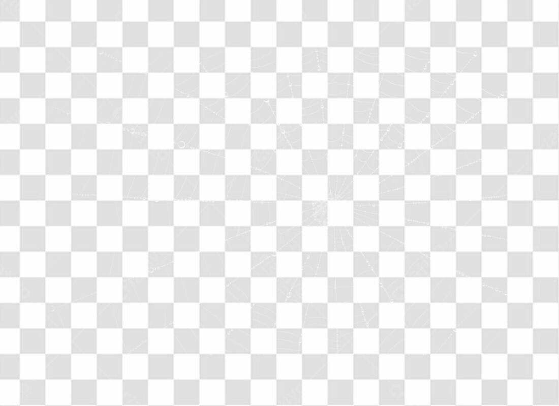 PNG Elemento para Design Teia de Aranha com fundo transparente