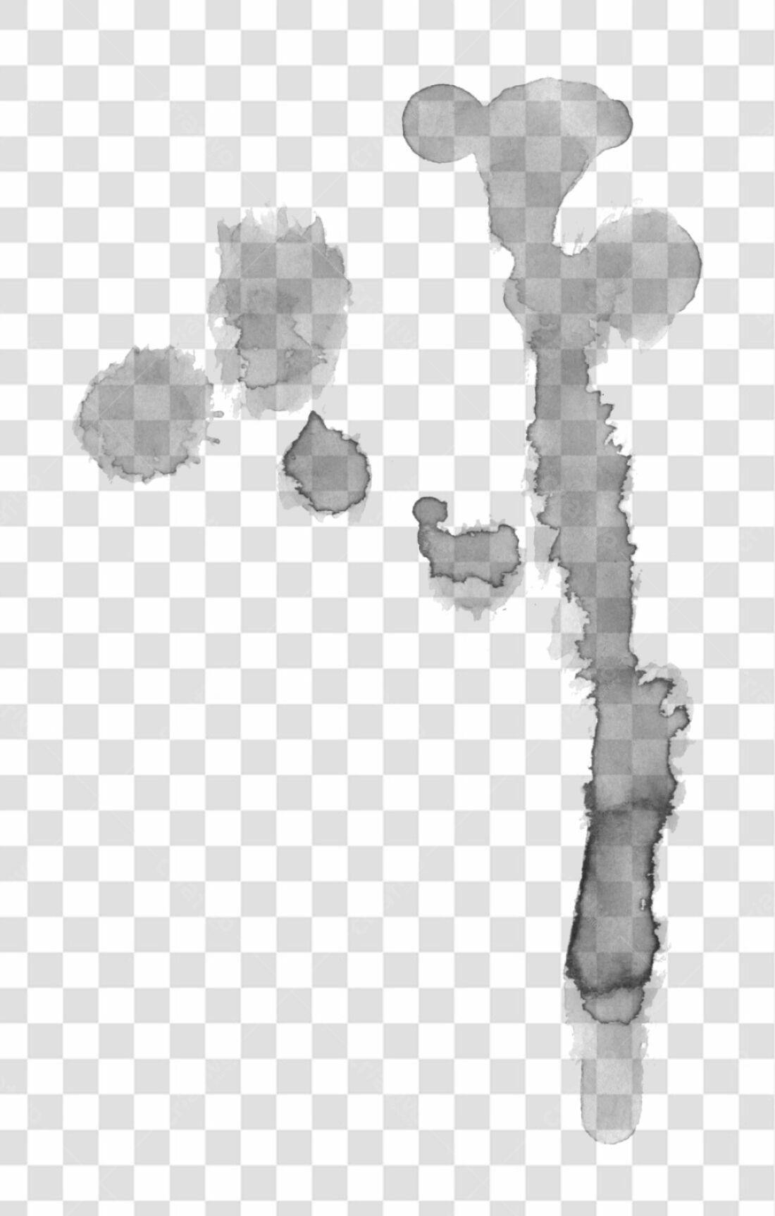 Elementos PNG com fundo transparente para design