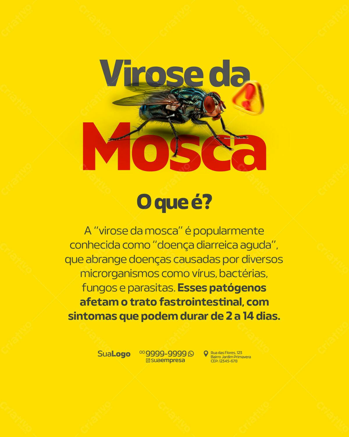 Flyer informativo Virose da Mosca PSD Editável
