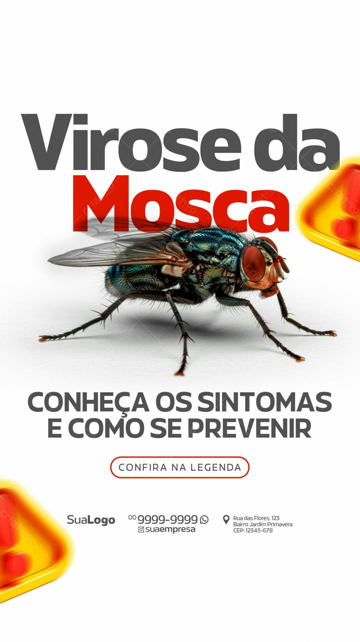 Flyer Virose da Mosca PSD Editável