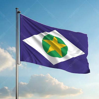 Bandeira Do Estado De Mato Grosso Hasteada Ao Ar Livre