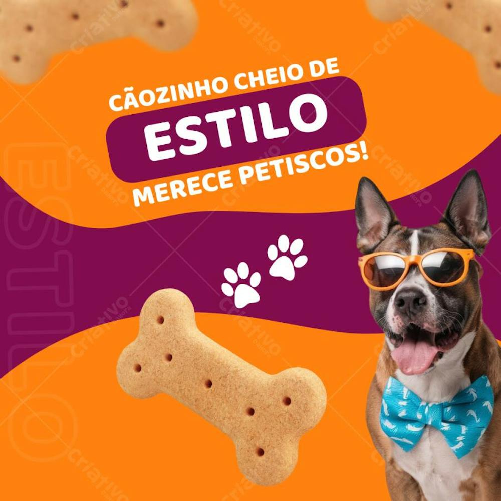 Pet shop cachorro com óculos e Biscoitos