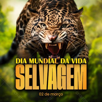 DIA MUNDIAL DA VIDA SELVAGEM 02 DE MARÇO