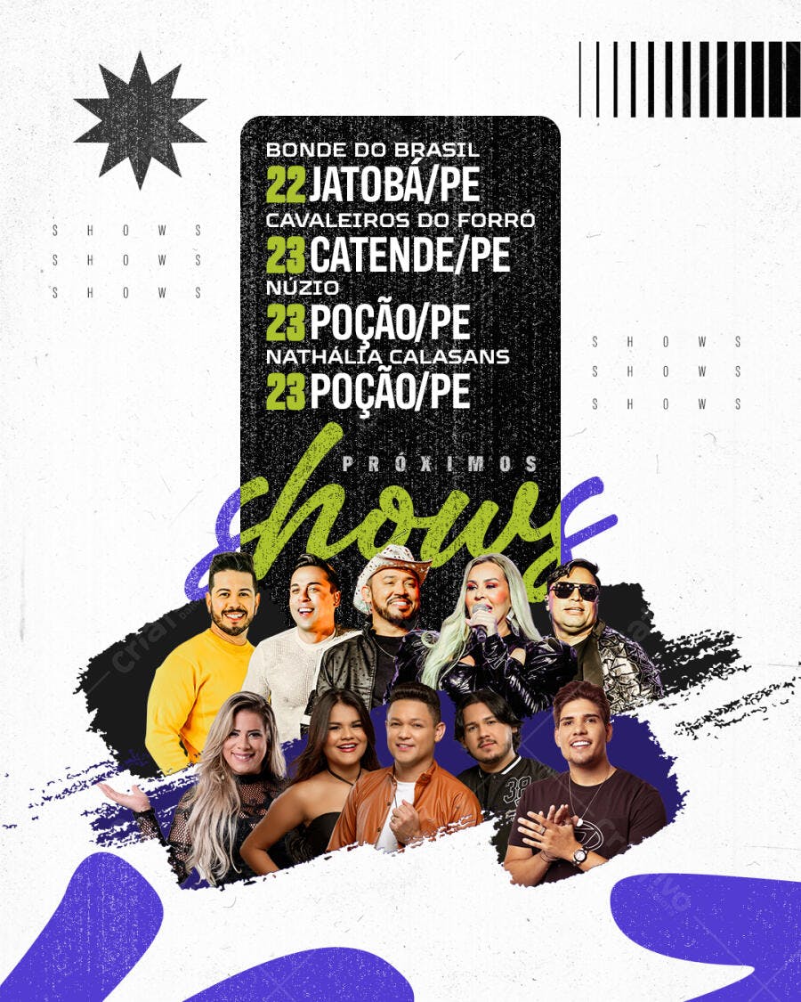 Flyer de Shows Sertanejos PSD Editável