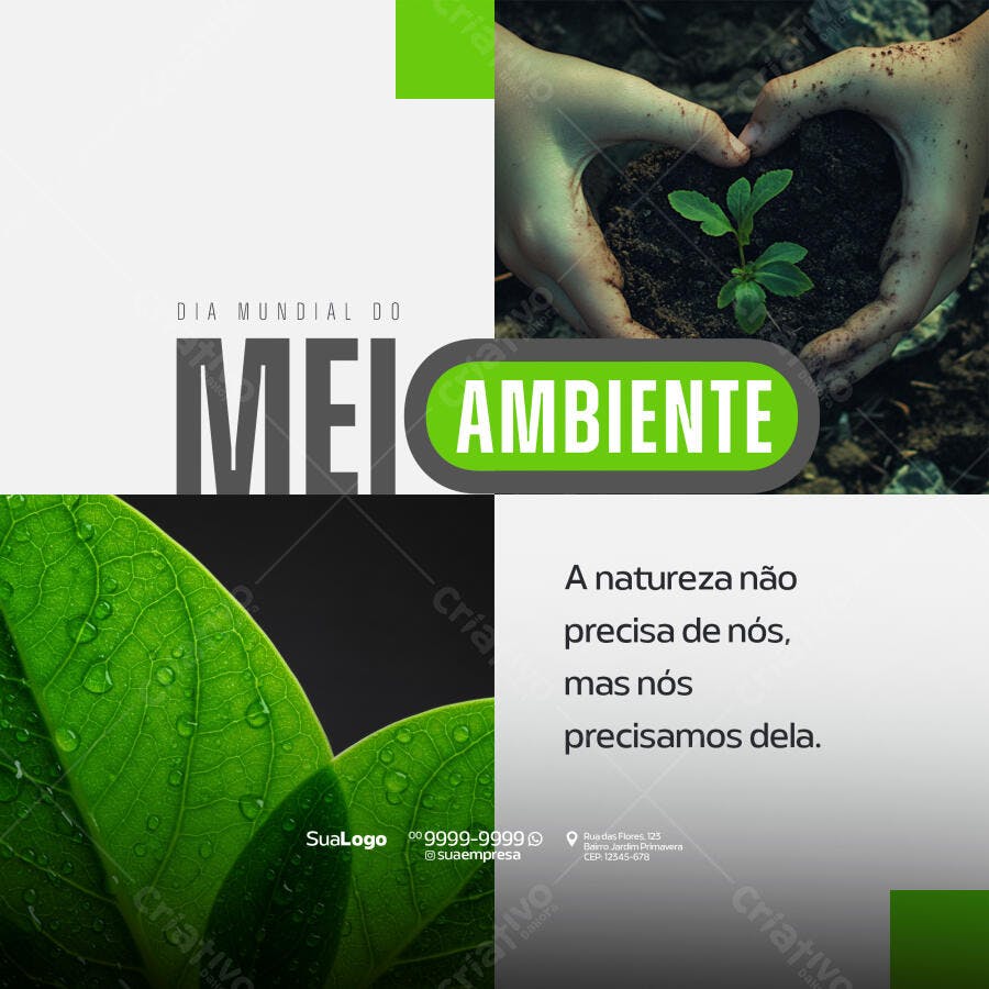 Post para o Dia Mundial do Meio Ambiente PSD Editável