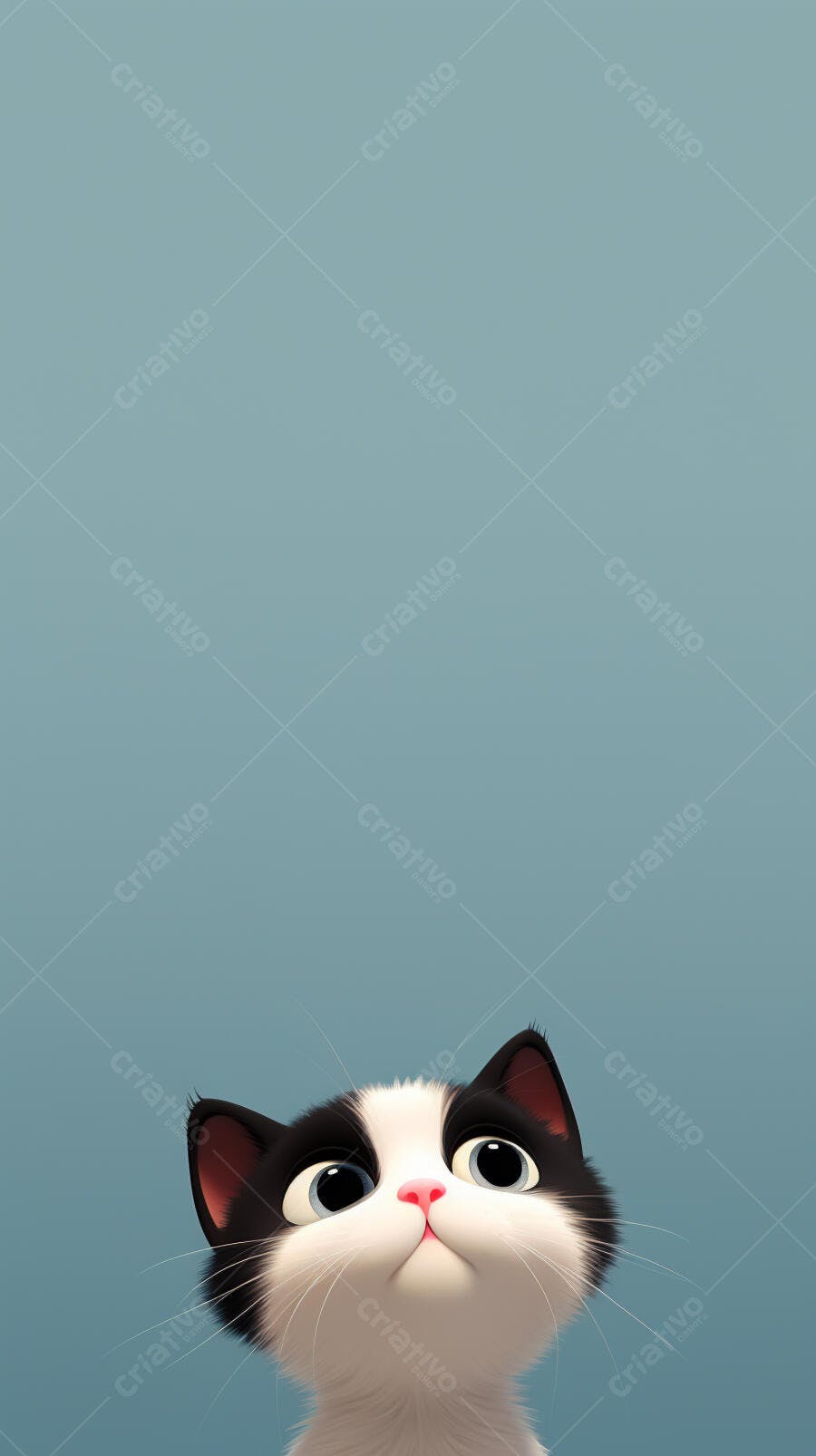 Gatinho bicolor olhando para cima fundo azul