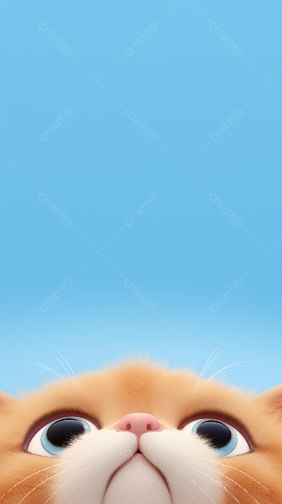 Gatinho Laranja Olhando para Cima Fundo Azul