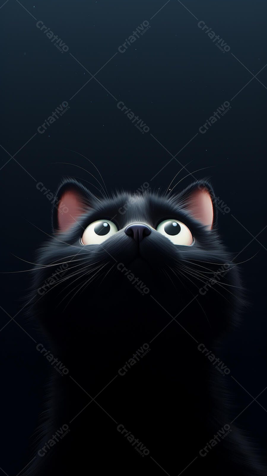 Gato preto olhando para cima fundo escuro