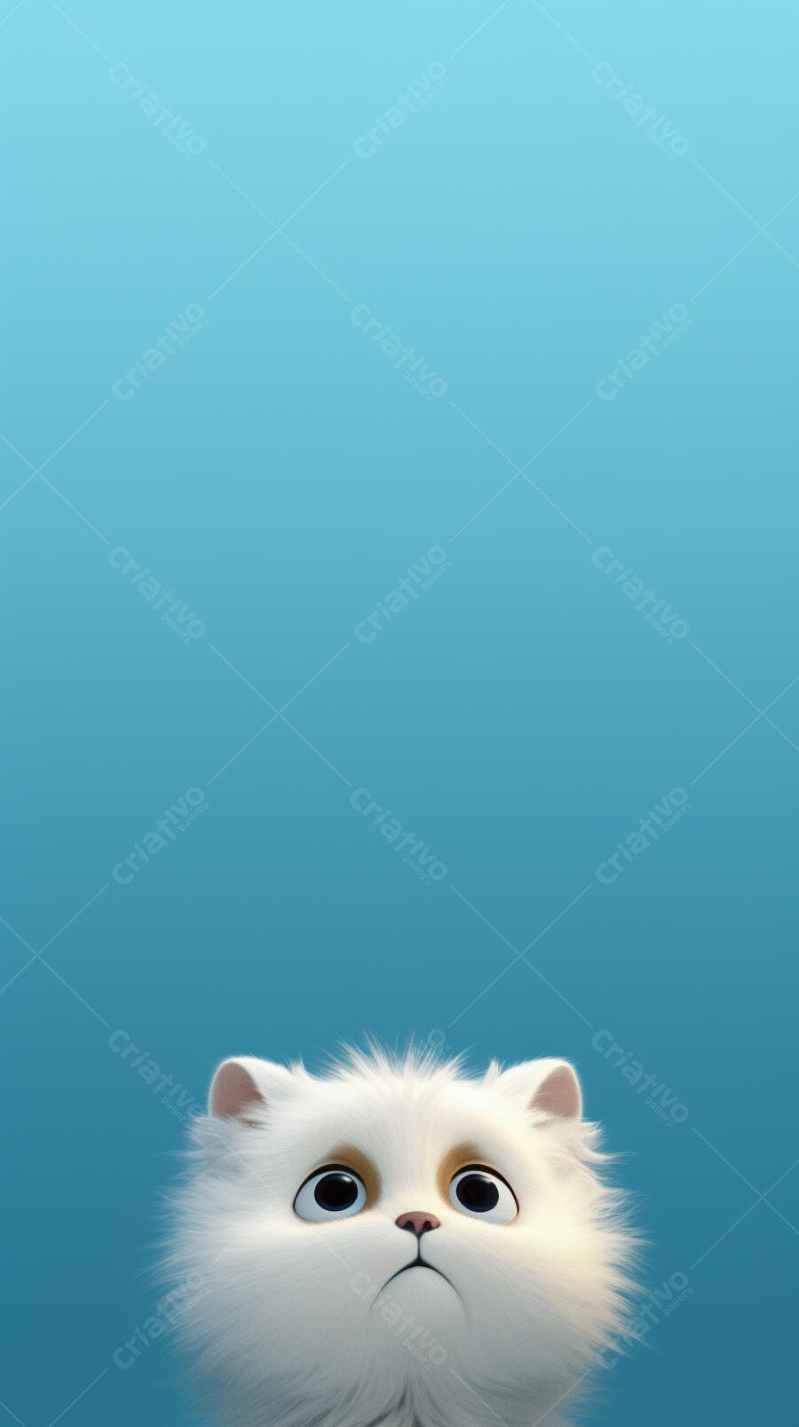 Gato persa branco fundo azul