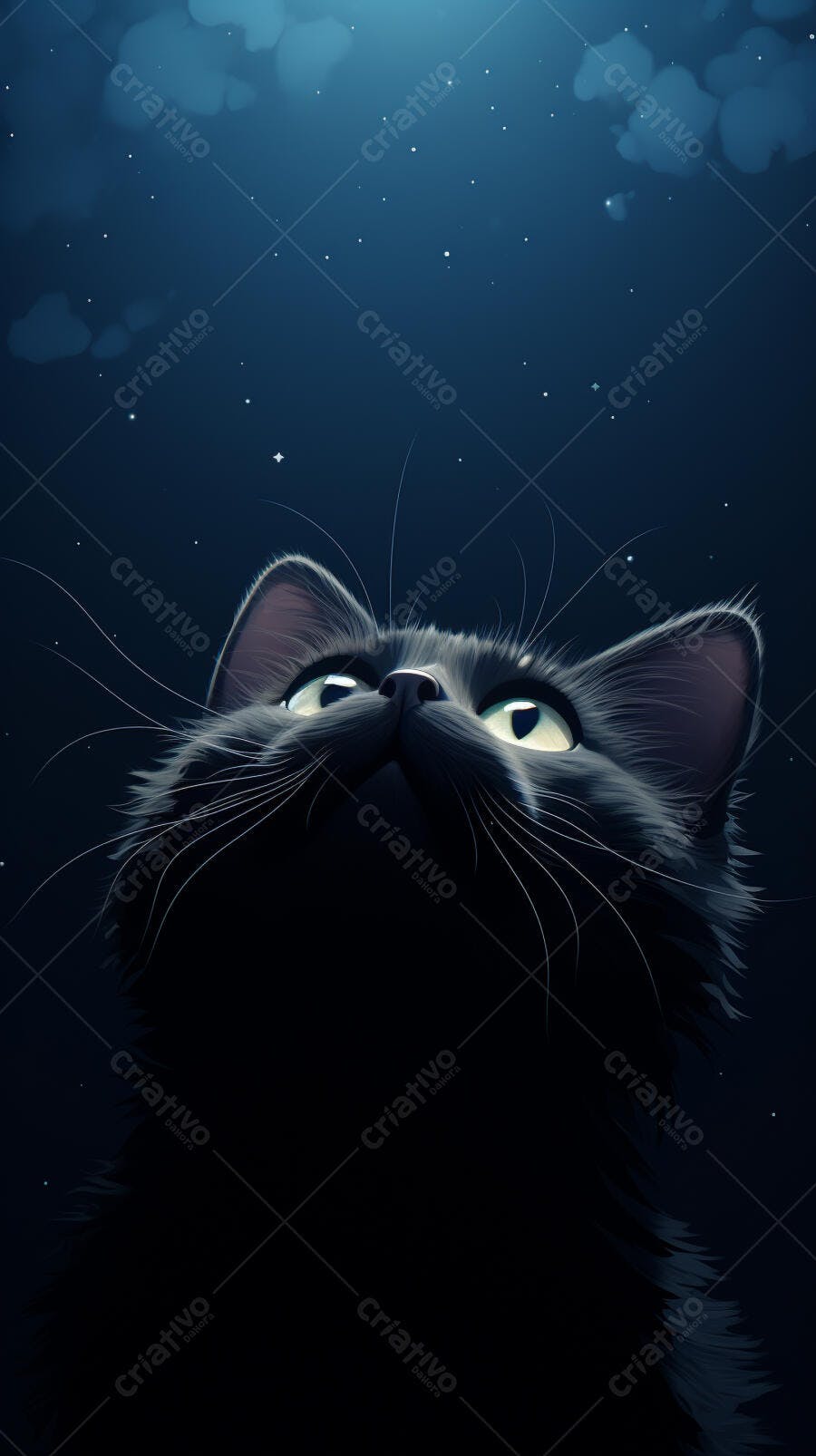 Gato Preto Olhando para as Estrelas