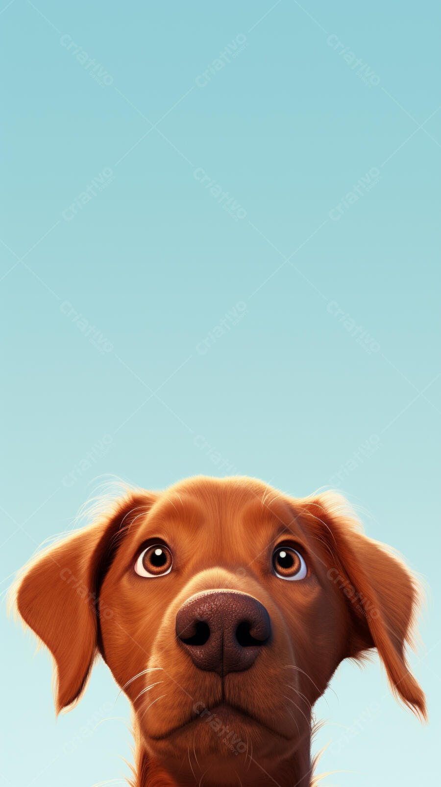 Cachorro Labrador olhar curioso fundo azul