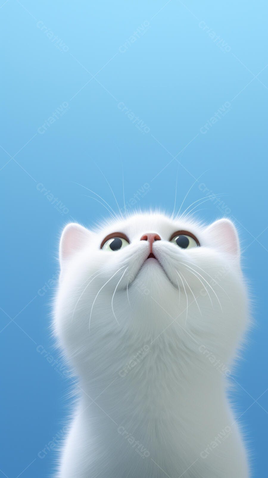 Gatinho branco olhando para cima fundo azul