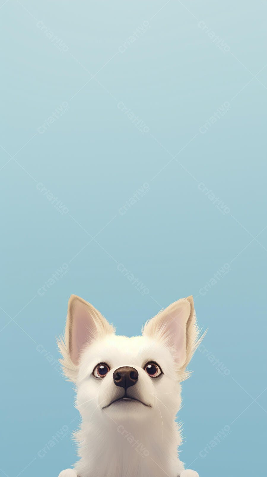 Cachorro branco olhando para cima fundo azul