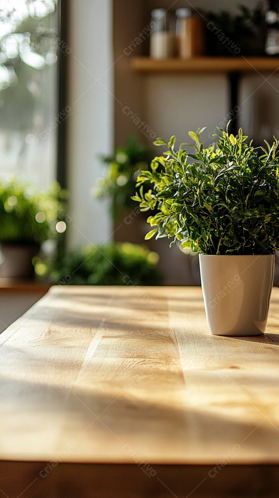 Planta em vaso na mesa de madeira