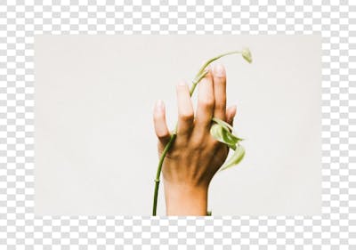 imagem de dia das mulheres em png transparente