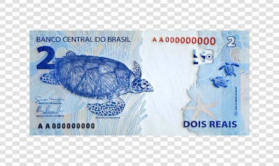 elemento para criativo nota de dinheiro real