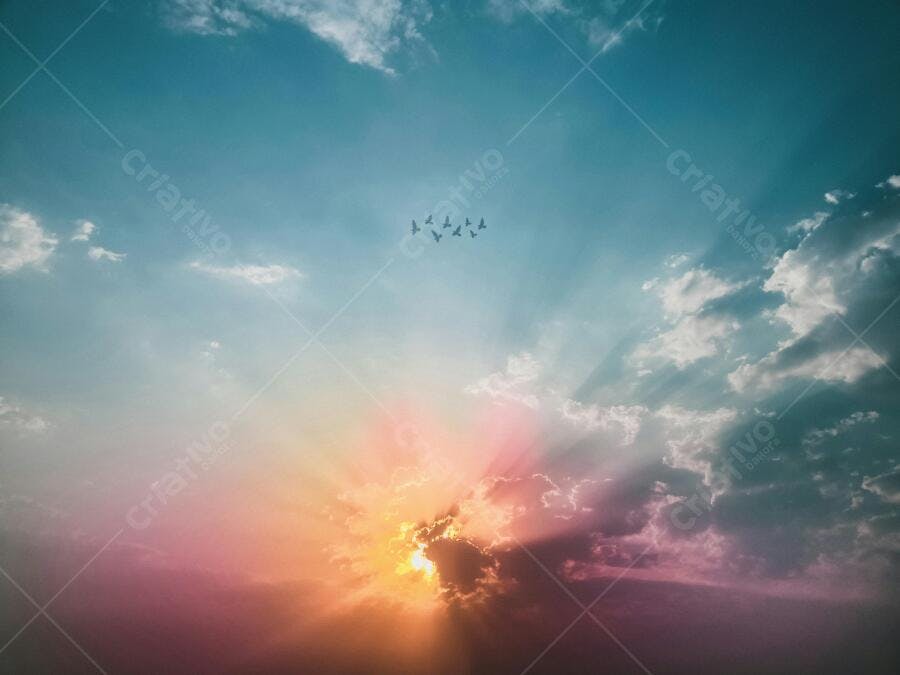 Pôr do sol vibrante com pássaros em voo