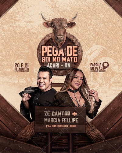 PEGA DE BOI